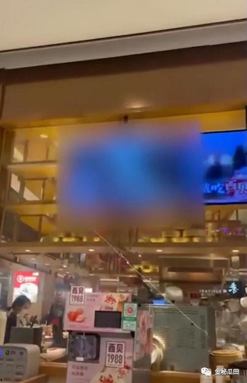 现场爆料餐厅视频,餐厅爆满，食客好评如潮，一探究竟！