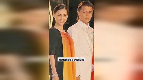 娱乐圈爆料每日更新,每日新鲜资讯，揭秘明星幕后故事