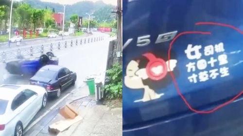 张家界司机爆料视频最新,揭秘景区交通乱象背后的真相