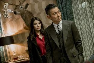 追龙电影在线观看,巅峰对决，传奇再续