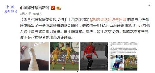 海外爆料博主新闻事件,真相与舆论的碰撞