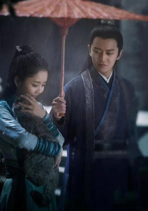 锦衣之下在线观看,古装悬疑剧，探秘明朝锦衣卫的传奇故事