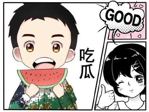 全服吃瓜搞笑娱乐,吃瓜搞笑娱乐盛宴